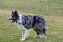 IMG_4044.JPG