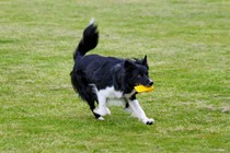 IMG_4063.JPG