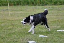 IMG_4140.JPG