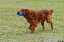 IMG_4163.JPG