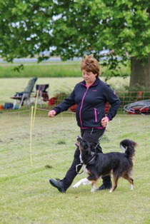 IMG_4184.JPG
