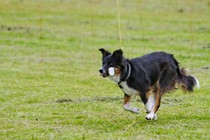 IMG_4195.JPG