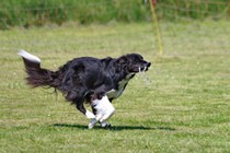 IMG_4389.JPG