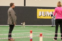IMG_6857.JPG