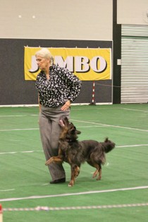 IMG_6870.JPG
