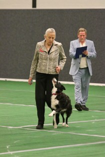 IMG_6902.JPG
