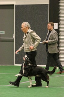 IMG_6918.JPG