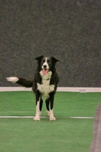 IMG_6942.JPG