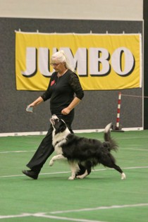 IMG_6954.JPG