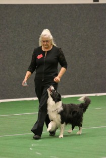 IMG_6957.JPG