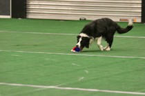 IMG_6970.JPG