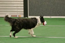 IMG_7012.JPG