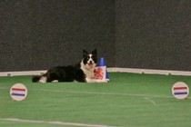 IMG_7021.JPG