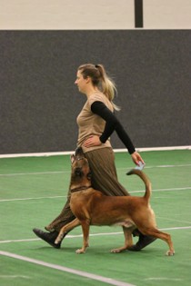 IMG_7027.JPG