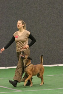 IMG_7051.JPG