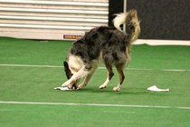 IMG_7063.JPG