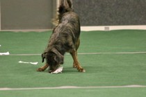 IMG_7070.JPG
