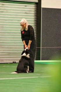 IMG_7085.JPG