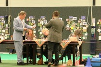 IMG_7087.JPG