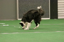 IMG_7092.JPG