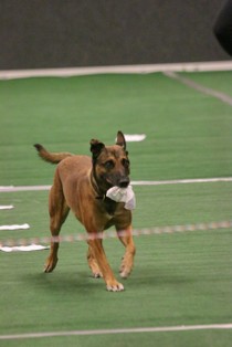 IMG_7102.JPG