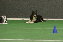 IMG_7111.JPG