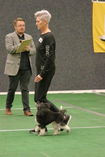 IMG_7127.JPG