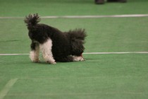 IMG_7140.JPG