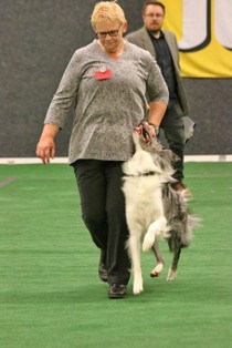 IMG_7147.JPG