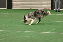 IMG_7154.JPG