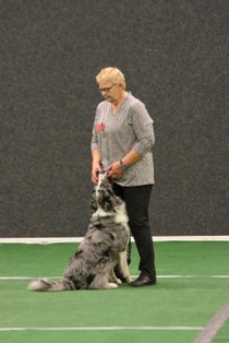 IMG_7155.JPG