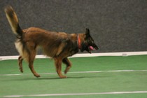 IMG_7172.JPG