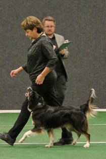 IMG_7173.JPG