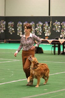 IMG_7211.JPG