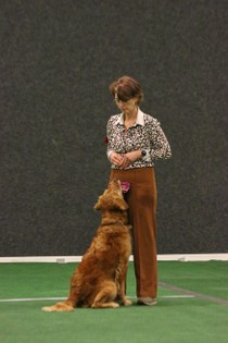 IMG_7221.JPG