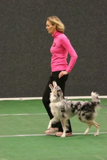 IMG_7223.JPG
