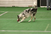 IMG_7233.JPG
