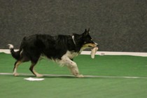 IMG_7237.JPG