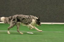 IMG_7247.JPG