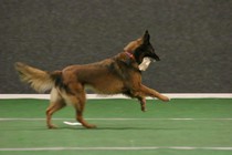 IMG_7250.JPG