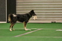 IMG_7252.JPG