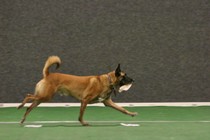 IMG_7256.JPG