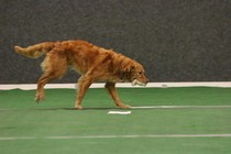 IMG_7258.JPG