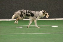 IMG_7260.JPG
