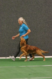 IMG_7272.JPG