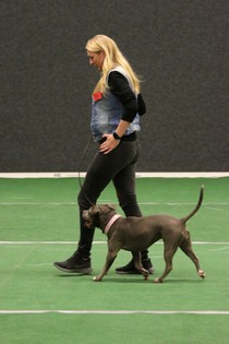 IMG_7278.JPG