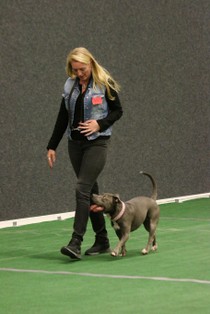 IMG_7289.JPG