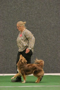 IMG_7310.JPG