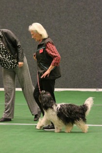 IMG_7332.JPG