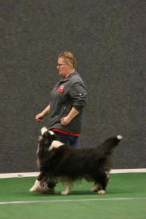 IMG_7339.JPG